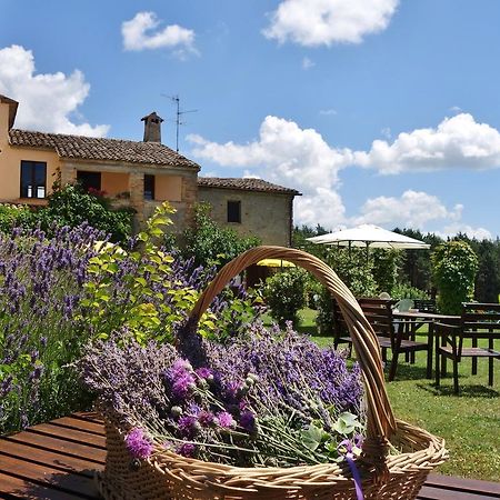 Agriturismo Monterosello Città di Castello Εξωτερικό φωτογραφία