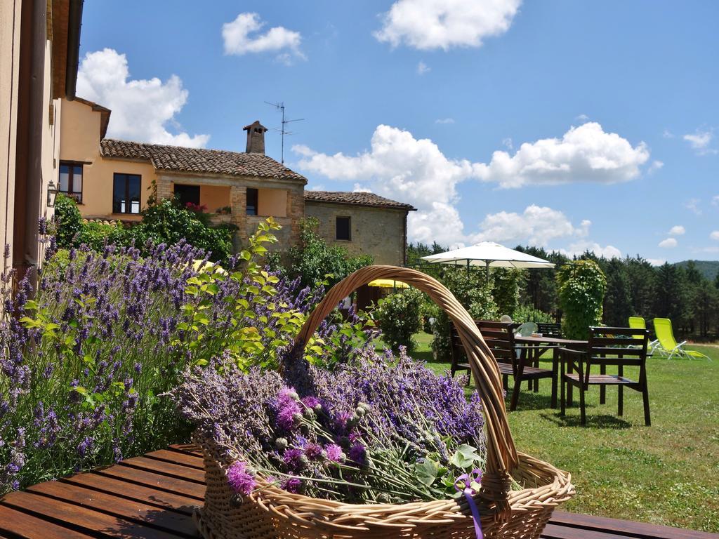 Agriturismo Monterosello Città di Castello Εξωτερικό φωτογραφία