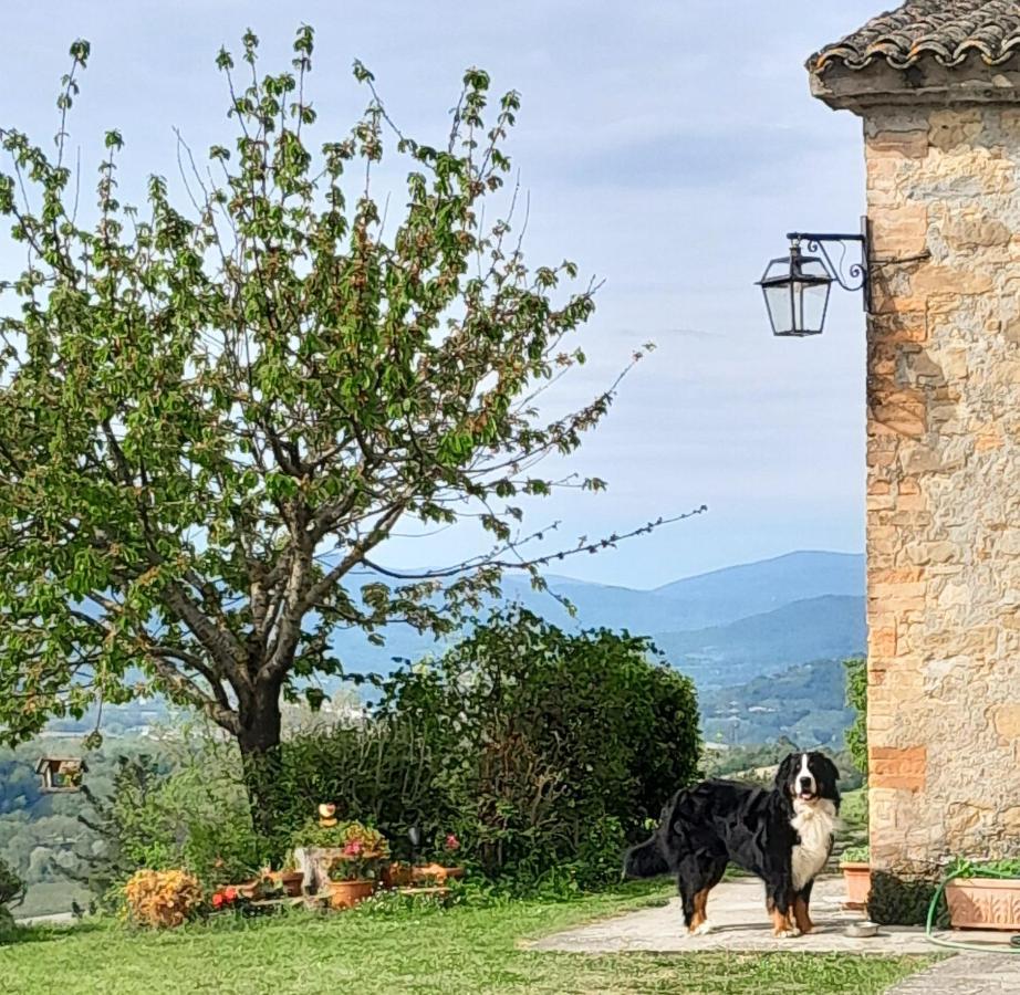 Agriturismo Monterosello Città di Castello Εξωτερικό φωτογραφία